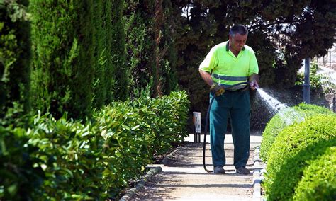 trabajos de jardinería de lunes a viernes|jooble jardinero.